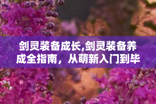 剑灵装备成长,剑灵装备养成全指南,从萌新入门到毕业进阶的实用思路 剑灵装备成长,剑灵装备养成全指南,从萌新入门到毕业进阶的实用思路