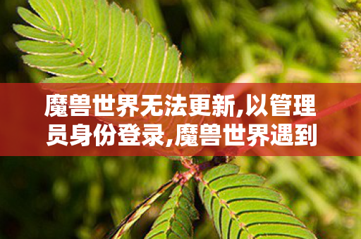 魔兽世界无法更新,以管理员身份登录,魔兽世界遇到无法更新?实用排查技巧帮你快速回归艾泽拉斯 魔兽世界无法更新,以管理员身份登录,魔兽世界遇到无法更新?实用排查技巧帮你快速回归艾泽拉斯