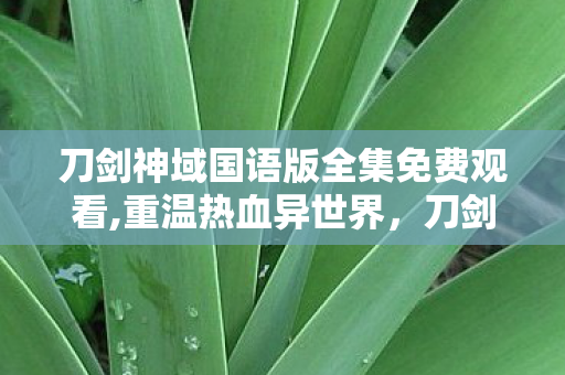 刀剑神域国语版全集免费观看,重温热血异世界,刀剑神域国语版全集的专属情怀体验 刀剑神域国语版全集免费观看,重温热血异世界,刀剑神域国语版全集的专属情怀体验