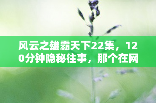 风云之雄霸天下22集,120分钟隐秘往事,那个在网吧哽咽着通关的少年 风云之雄霸天下22集,120分钟隐秘往事,那个在网吧哽咽着通关的少年