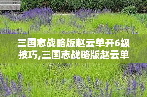三国志战略版赵云单开6级技巧,三国志战略版赵云单开玩法全指南,低投入也能打出开荒碾压优势 三国志战略版赵云单开6级技巧,三国志战略版赵云单开玩法全指南,低投入也能打出开荒碾压优势