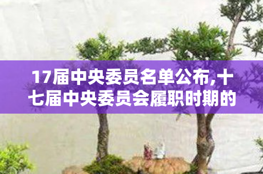 17届中央委员名单公布,十七届中央委员会履职时期的发展实践与历史价值