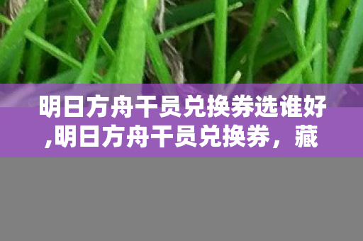 明日方舟干员兑换券选谁好,明日方舟干员兑换券,藏在罗德岛日常里的温柔选择权 明日方舟干员兑换券选谁好,明日方舟干员兑换券,藏在罗德岛日常里的温柔选择权