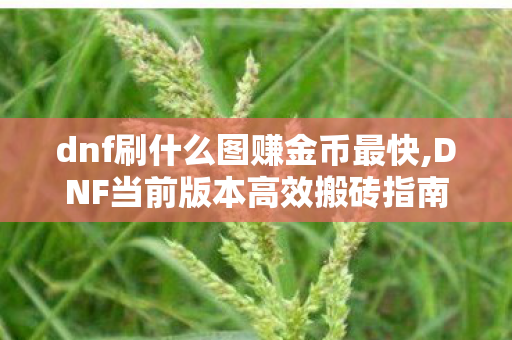 dnf刷什么图赚金币最快,DNF当前版本高效搬砖指南,选对刷图路线,赚钱速度快人一步 dnf刷什么图赚金币最快,DNF当前版本高效搬砖指南,选对刷图路线,赚钱速度快人一步