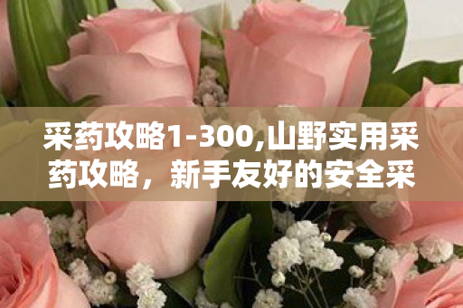 采药攻略1-300,山野实用采药攻略，新手友好的安全采集全指南