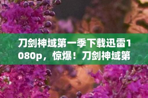 刀剑神域第一季下载迅雷1080p,惊爆!刀剑神域第一季下载竟藏300万隐情,真相让人吓一跳! 刀剑神域第一季下载迅雷1080p,惊爆!刀剑神域第一季下载竟藏300万隐情,真相让人吓一跳!