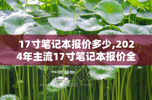 17寸笔记本报价多少,2024年主流17寸笔记本报价全参考,覆盖多场景选购不踩坑 17寸笔记本报价多少,2024年主流17寸笔记本报价全参考,覆盖多场景选购不踩坑