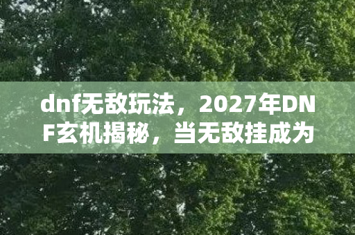 dnf无敌玩法，2027年DNF玄机揭秘，当无敌挂成为沉默的人生作弊器