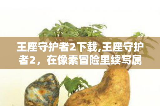 王座守护者2下载,王座守护者2，在像素冒险里续写属于你的守护传说