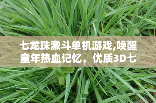 七龙珠激斗单机游戏,唤醒童年热血记忆，优质3D七龙珠单机游戏游玩指南