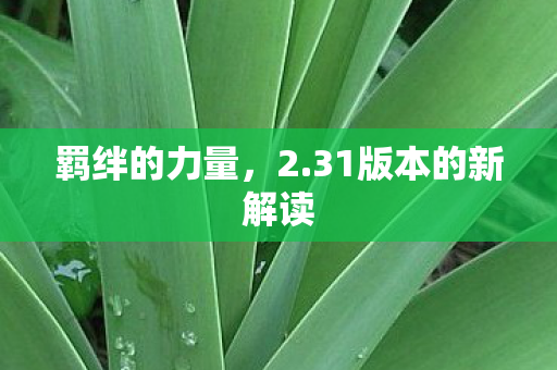31版本的新解读图片