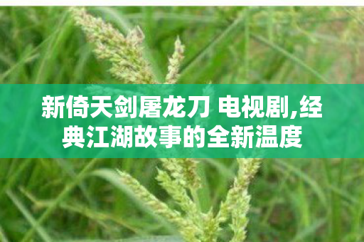 新倚天剑屠龙刀 电视剧,经典江湖故事的全新温度 新倚天剑屠龙刀 电视剧,经典江湖故事的全新温度