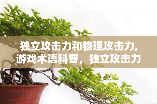 独立攻击力和物理攻击力,游戏术语科普,独立攻击力到底是什么? 独立攻击力和物理攻击力,游戏术语科普,独立攻击力到底是什么?