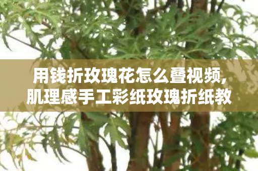 用钱折玫瑰花怎么叠视频,肌理感手工彩纸玫瑰折纸教程,清晰步骤图解锁浪漫手作 用钱折玫瑰花怎么叠视频,肌理感手工彩纸玫瑰折纸教程,清晰步骤图解锁浪漫手作