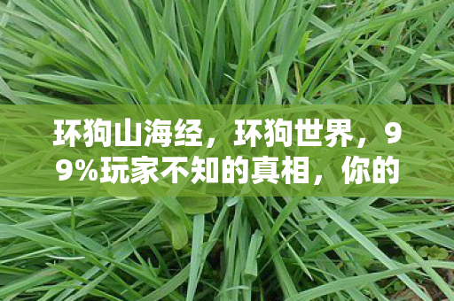 环狗山海经,环狗世界,99%玩家不知的真相,你的狂欢竟是他人深渊? 环狗山海经,环狗世界,99%玩家不知的真相,你的狂欢竟是他人深渊?