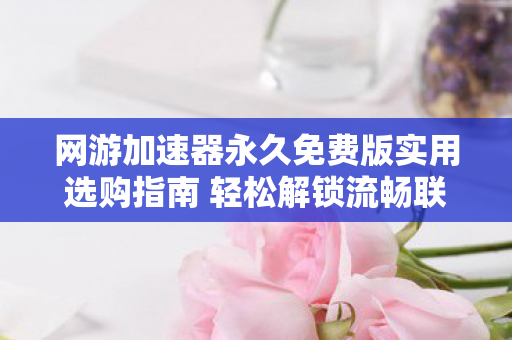 网游加速器永久免费版实用选购指南 轻松解锁流畅联机体验