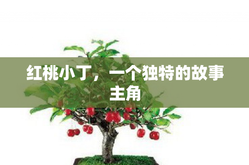 一个独特的故事主角图片