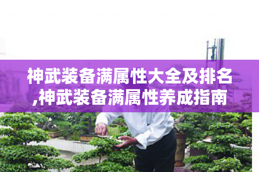 神武装备满属性大全及排名,神武装备满属性养成指南，轻松打造心仪毕业装