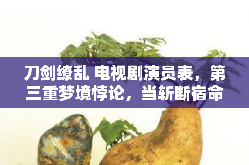 刀剑缭乱 电视剧演员表,第三重梦境悖论,当斩断宿命的刀锋刺向选择自由 刀剑缭乱 电视剧演员表,第三重梦境悖论,当斩断宿命的刀锋刺向选择自由
