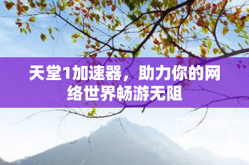 助力你的网络世界畅游无阻图片