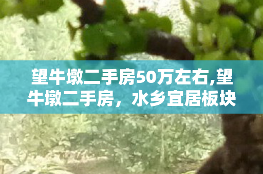 望牛墩二手房50万左右,望牛墩二手房，水乡宜居板块里的务实安家之选