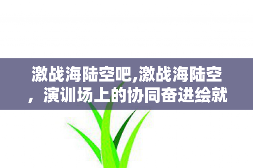 激战海陆空吧,激战海陆空,演训场上的协同奋进绘就强军新图景 激战海陆空吧,激战海陆空,演训场上的协同奋进绘就强军新图景