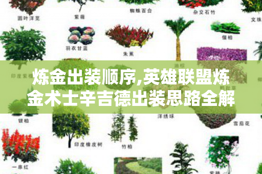 炼金出装顺序,英雄联盟炼金术士辛吉德出装思路全解析，适配不同场景的玩法指南
