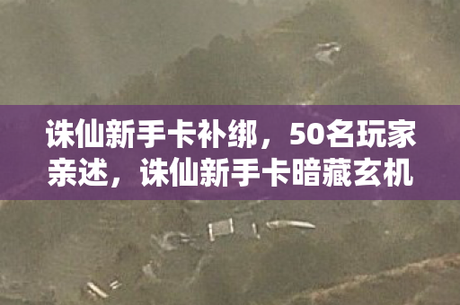 诛仙新手卡补绑，50名玩家亲述，诛仙新手卡暗藏玄机？老玩家听完直接绷不住了！