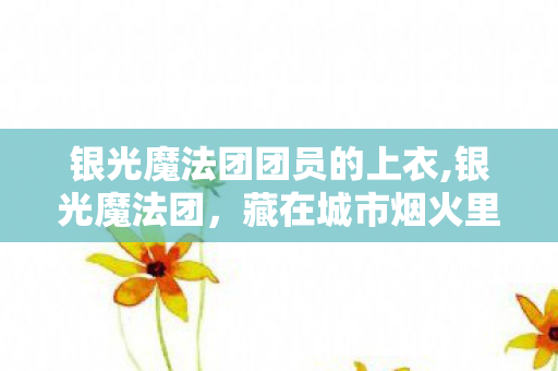 银光魔法团团员的上衣,银光魔法团，藏在城市烟火里的星光守护小队