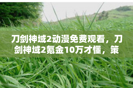 刀剑神域2动漫免费观看,刀剑神域2氪金10万才懂,策划的良心竟藏着10086种割法! 刀剑神域2动漫免费观看,刀剑神域2氪金10万才懂,策划的良心竟藏着10086种割法!