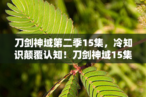 刀剑神域第二季15集,冷知识颠覆认知!刀剑神域15集隐藏设定让我目瞪口呆十年 刀剑神域第二季15集,冷知识颠覆认知!刀剑神域15集隐藏设定让我目瞪口呆十年