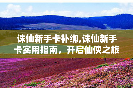 诛仙新手卡补绑,诛仙新手卡实用指南，开启仙侠之旅的第一份专属惊喜