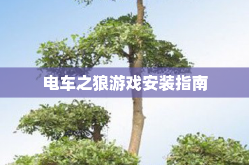 电车之狼游戏安装指南图片