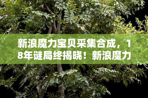 新浪魔力宝贝采集合成,18年谜局终揭晓!新浪魔力宝贝的传奇与泪目 新浪魔力宝贝采集合成,18年谜局终揭晓!新浪魔力宝贝的传奇与泪目