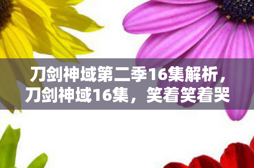刀剑神域第二季16集解析,刀剑神域16集,笑着笑着哭了,落差背后真相竟如此扎心! 刀剑神域第二季16集解析,刀剑神域16集,笑着笑着哭了,落差背后真相竟如此扎心!