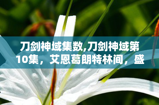 刀剑神域集数,刀剑神域第10集,艾恩葛朗特林间,盛放的温柔羁绊 刀剑神域集数,刀剑神域第10集,艾恩葛朗特林间,盛放的温柔羁绊
