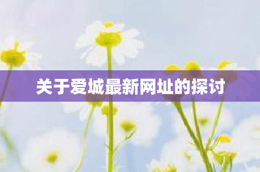关于爱城最新网址的探讨图片
