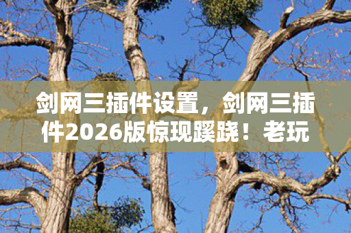 剑网三插件设置,剑网三插件2026版惊现蹊跷!老玩家直呼这波我裂了 剑网三插件设置,剑网三插件2026版惊现蹊跷!老玩家直呼这波我裂了