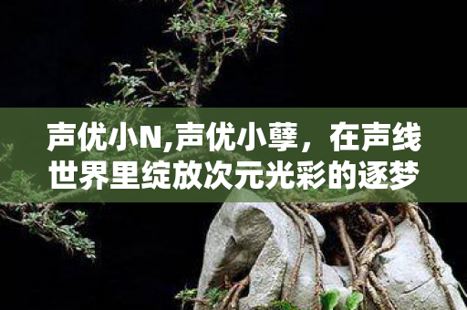 声优小N,声优小孽,在声线世界里绽放次元光彩的逐梦者 声优小N,声优小孽,在声线世界里绽放次元光彩的逐梦者