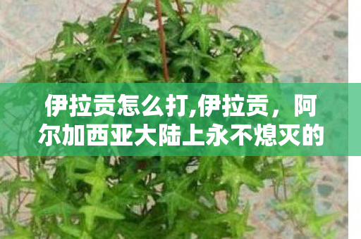 伊拉贡怎么打,伊拉贡,阿尔加西亚大陆上永不熄灭的龙焰诗行 伊拉贡怎么打,伊拉贡,阿尔加西亚大陆上永不熄灭的龙焰诗行