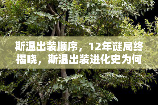 斯温出装顺序,12年谜局终揭晓,斯温出装进化史为何让百万玩家泪目? 斯温出装顺序,12年谜局终揭晓,斯温出装进化史为何让百万玩家泪目?