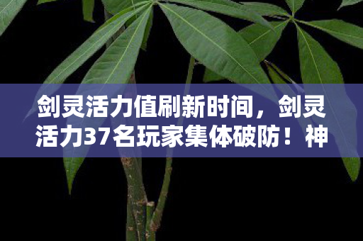 剑灵活力值刷新时间,剑灵活力37名玩家集体破防!神秘数据异常背后,谁先绷不住了? 剑灵活力值刷新时间,剑灵活力37名玩家集体破防!神秘数据异常背后,谁先绷不住了?