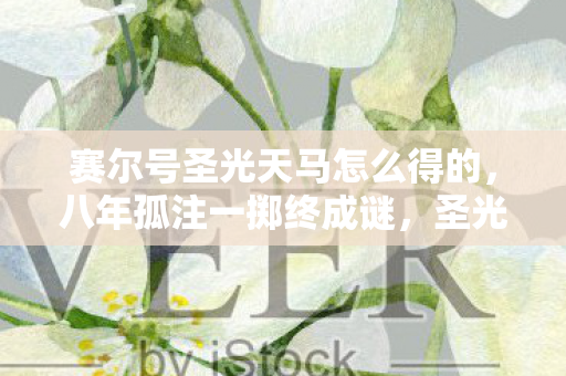 赛尔号圣光天马怎么得的，八年孤注一掷终成谜，圣光天马未得泪目空