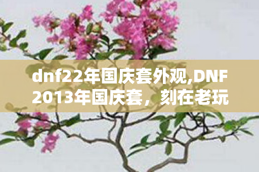 dnf22年国庆套外观,DNF2013年国庆套，刻在老玩家记忆里的皇家骑士荣光