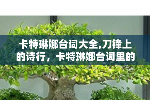 卡特琳娜台词大全,刀锋上的诗行，卡特琳娜台词里的刺客风骨