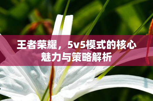 5v5模式的核心魅力与策略解析图片