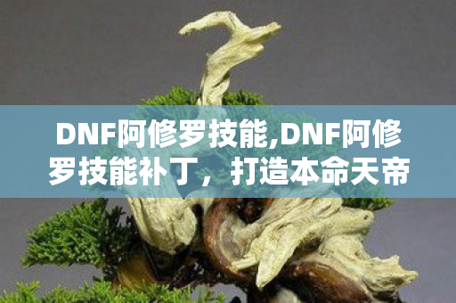 DNF阿修罗技能,DNF阿修罗技能补丁,打造本命天帝的专属战斗美学 DNF阿修罗技能,DNF阿修罗技能补丁,打造本命天帝的专属战斗美学