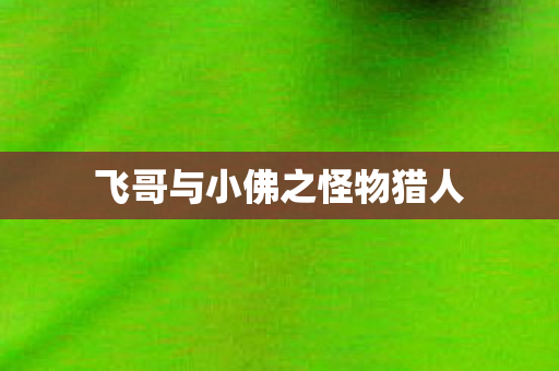 飞哥与小佛之怪物猎人图片