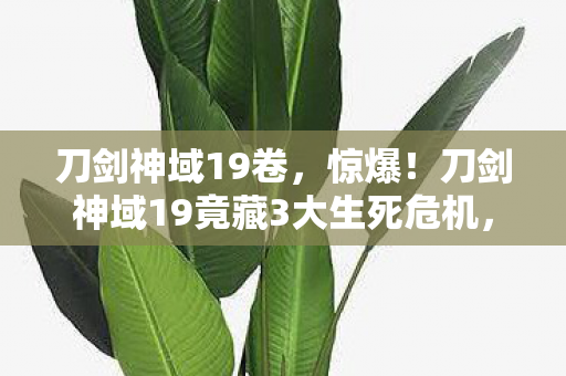 刀剑神域19卷，惊爆！刀剑神域19竟藏3大生死危机，谁能笑到最后？