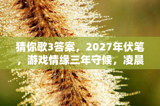 猜你歌3答案,2027年伏笔,游戏情缘三年守候,凌晨三点聊天记录让我鼻子一酸 猜你歌3答案,2027年伏笔,游戏情缘三年守候,凌晨三点聊天记录让我鼻子一酸